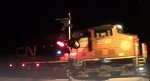 CN Z19571